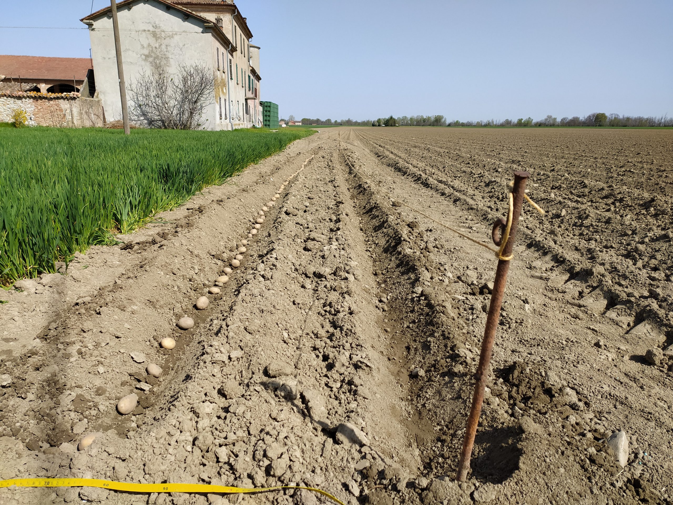 Progetto Monitora - servizio di monitoraggio avanzato per l’irrigazione e fertilizzazione sostenibile e difesa integrata per le orticole di pieno campo